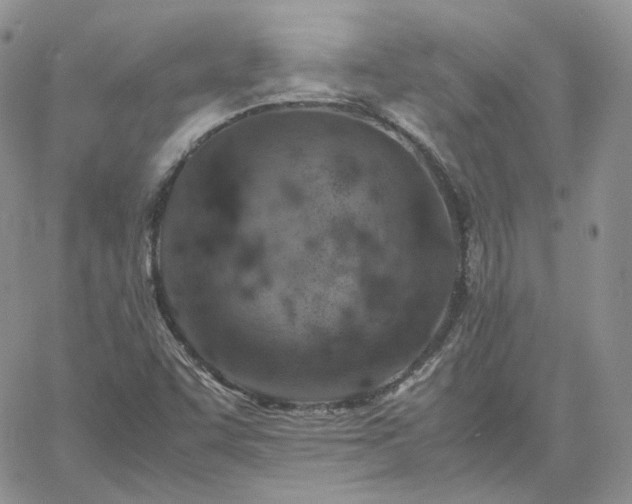 X0000061741455200512091558