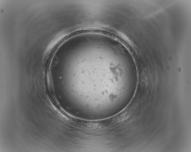 X0000061741456200512091558