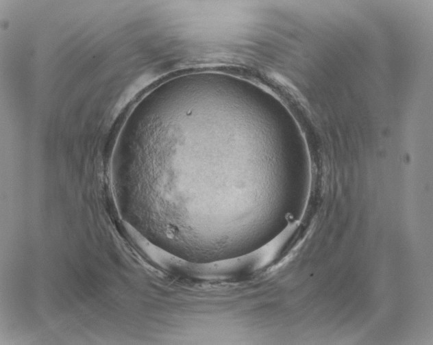 X0000061741457200512091558