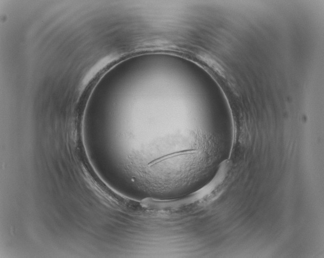 X0000061741458200512091558