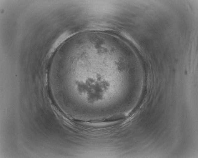 X0000061741459200512091558