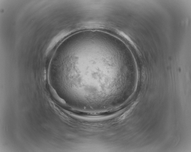 X0000061741461200512091558