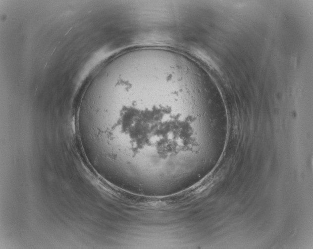 X0000061741462200512091558