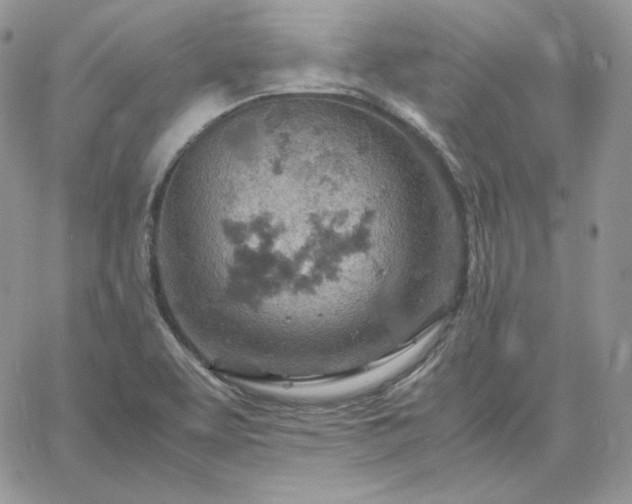 X0000061741463200512091558