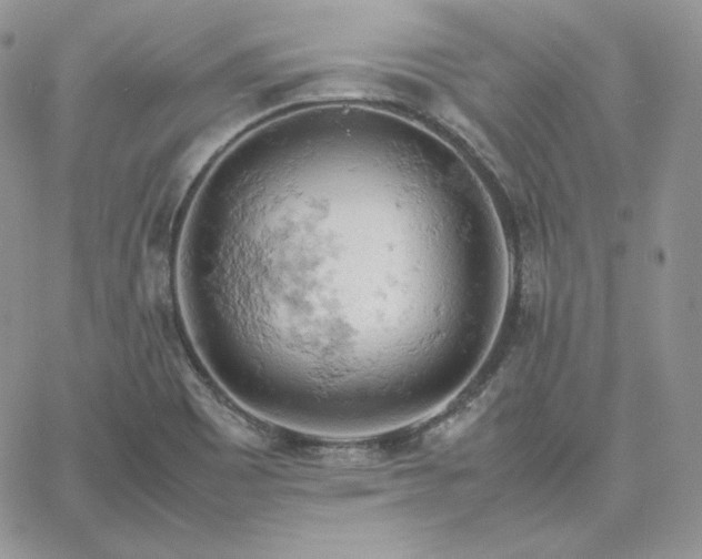 X0000061741465200512091558