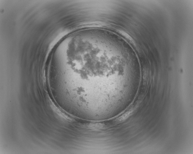 X0000061741466200512091558