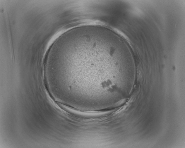 X0000061741467200512091558