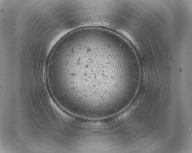 X0000061741468200512091558