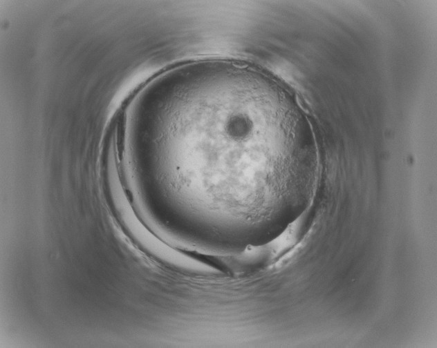 X0000061741469200512091558