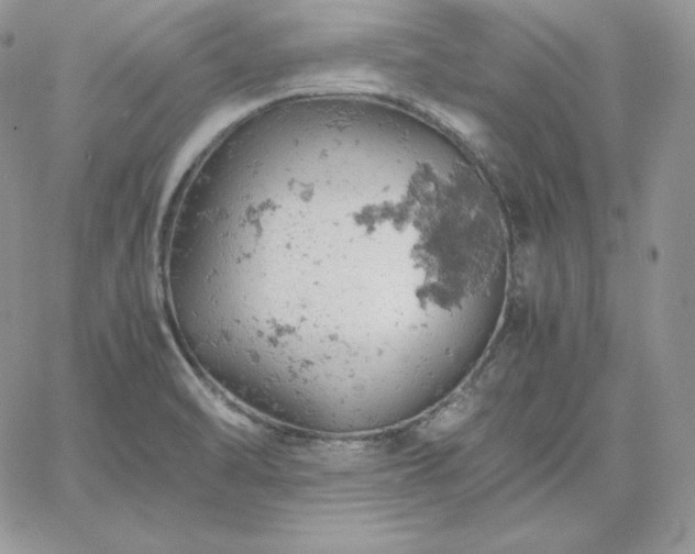 X0000061741470200512091558