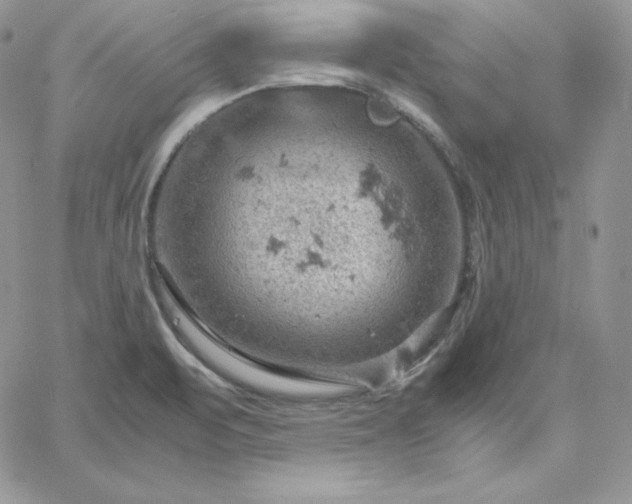 X0000061741471200512091558