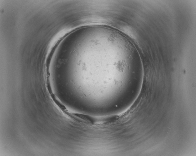 X0000061741472200512091558