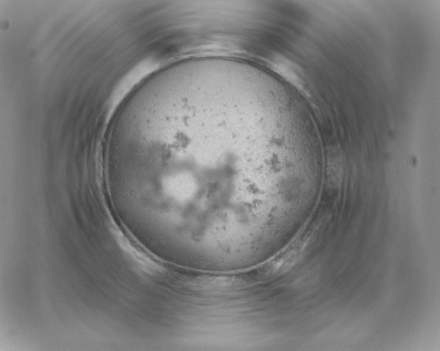 X0000061741474200512091558