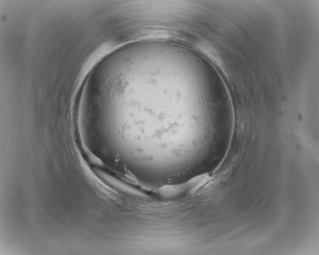 X0000061741475200512091558