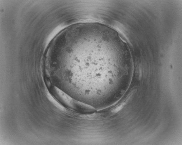 X0000061741476200512091558