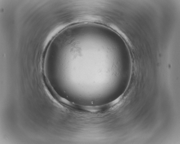 X0000061741477200512091558