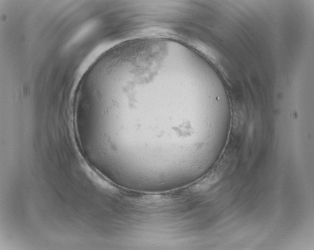 X0000061741478200512091558