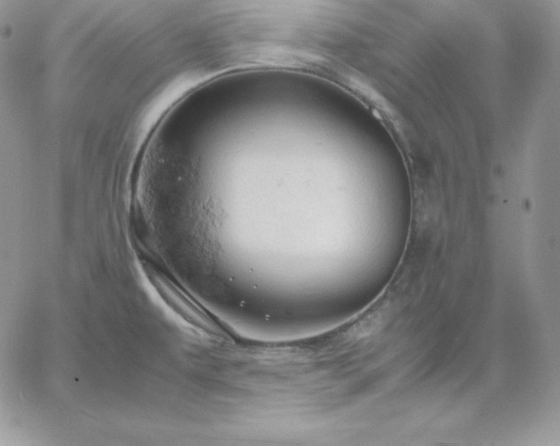 X0000061741479200512091558