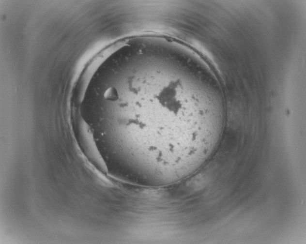 X0000061741480200512091558