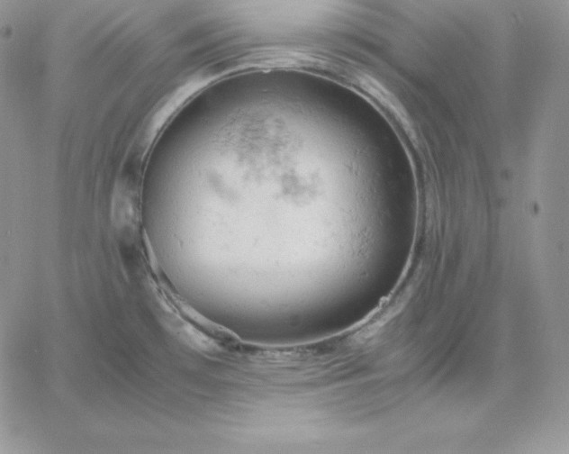 X0000061741481200512091558