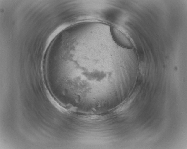 X0000061741482200512091558