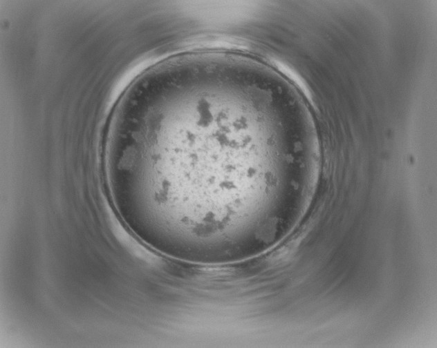 X0000061741483200512091558