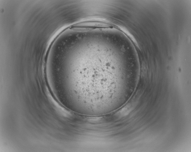 X0000061741484200512091558