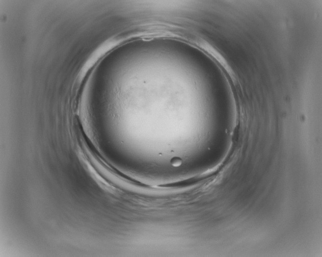 X0000061741485200512091558