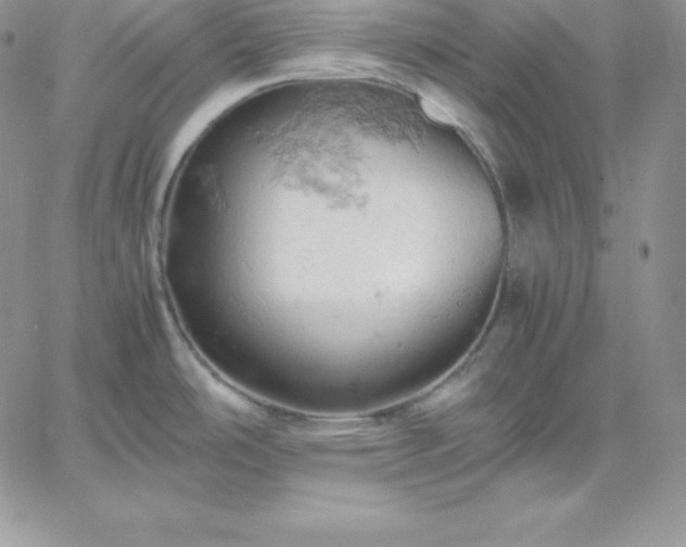 X0000061741486200512091558