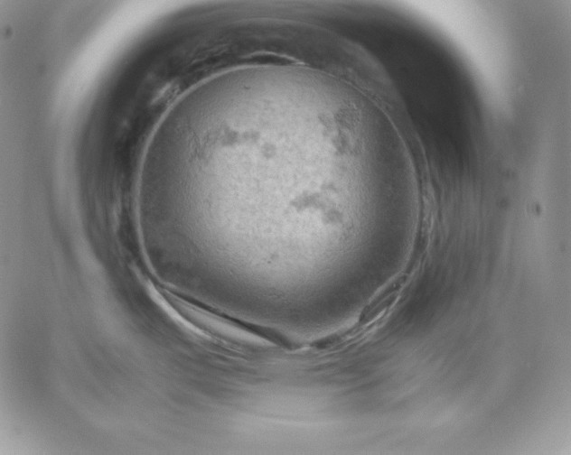 X0000061741487200512091558