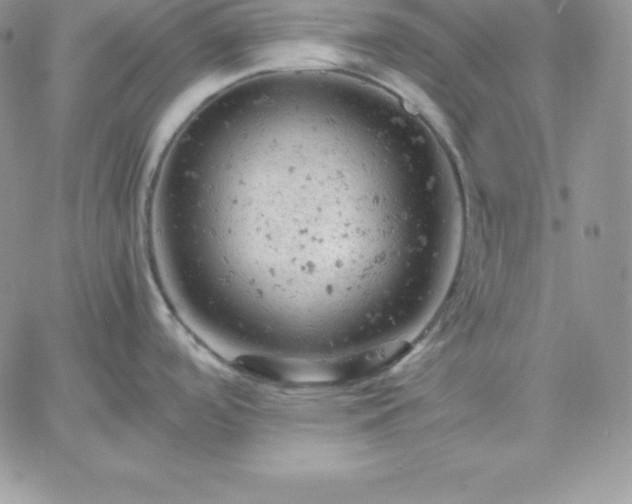 X0000061741488200512091558