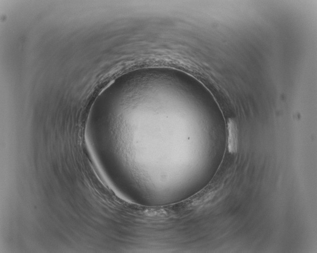 X0000061741491200512091557