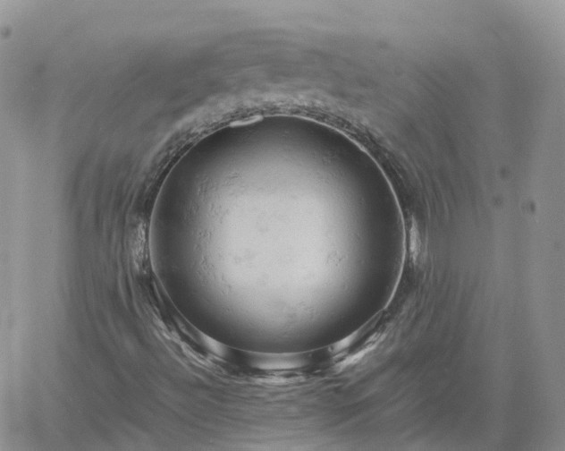 X0000061741492200512091557