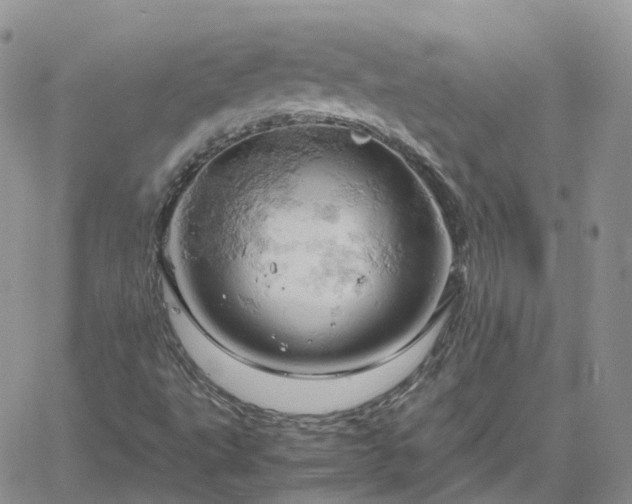 X0000061741495200512091557