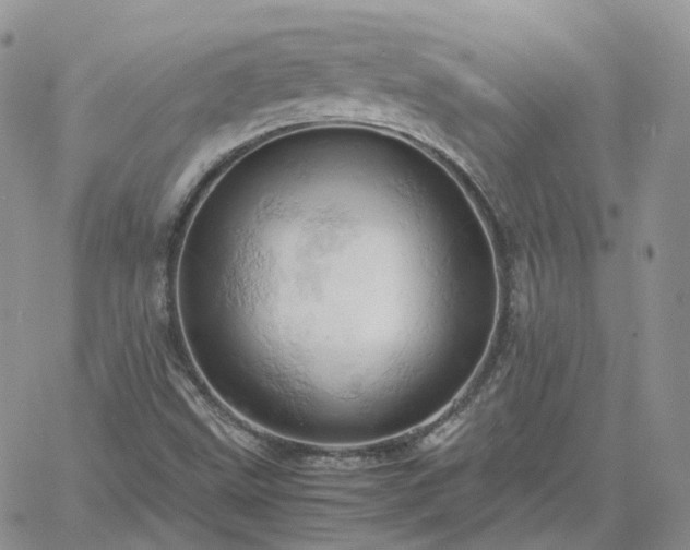 X0000061741499200512091557