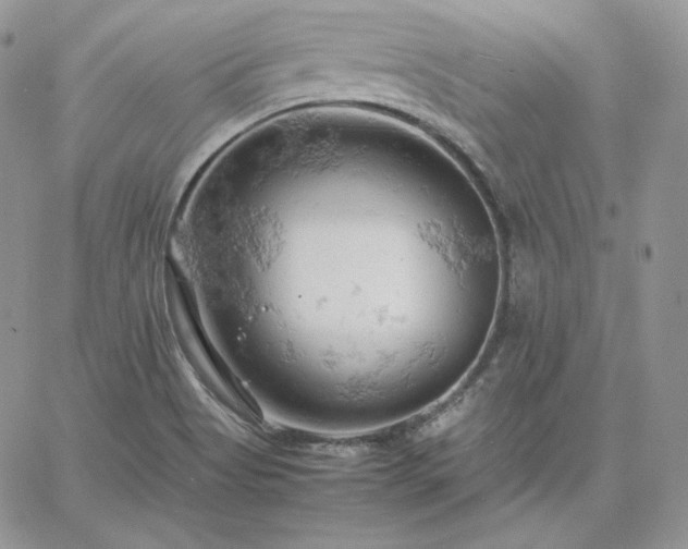 X0000061741513200512091557