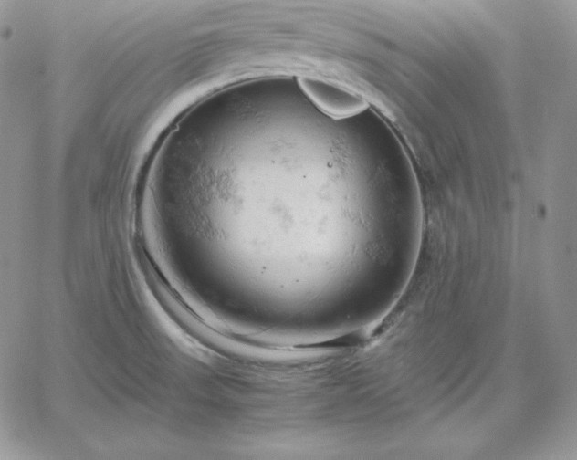 X0000061741523200512091557