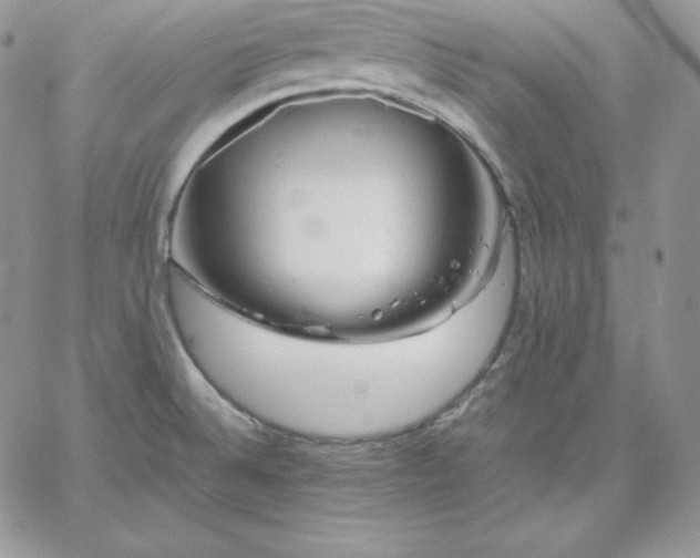 X0000061741524200512091557