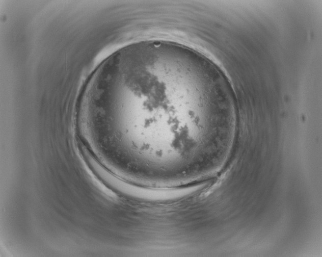 X0000061741525200512091557