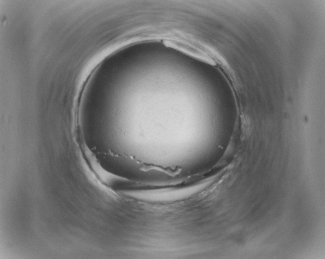 X0000061741528200512091557