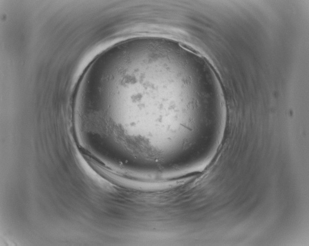 X0000061741531200512091558