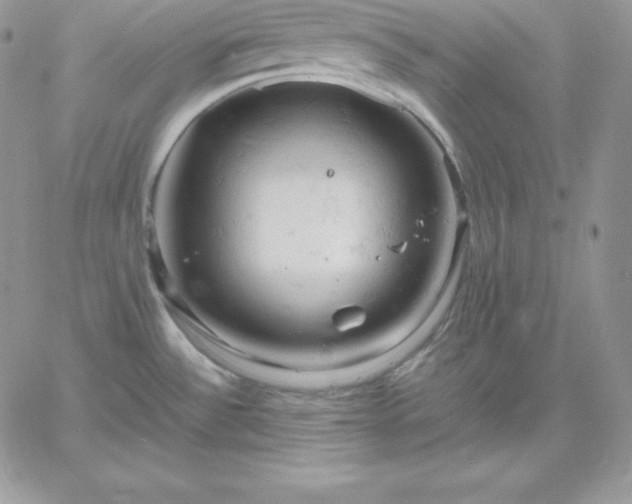 X0000061741532200512091558