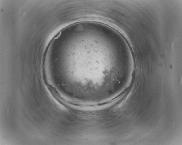 X0000061741533200512091558