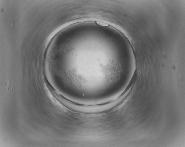 X0000061741534200512091558