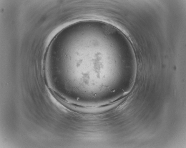 X0000061741535200512091558