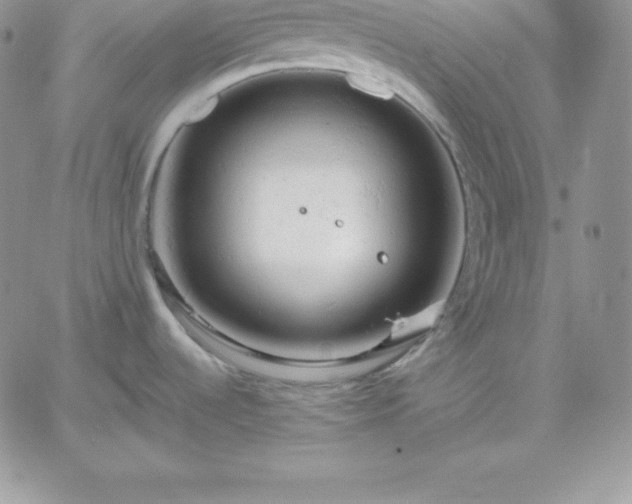 X0000061741536200512091558