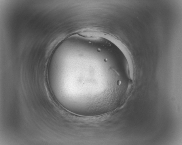 X0000061740001200512161702