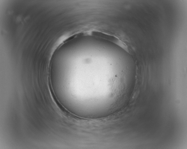 X0000061740003200512161702