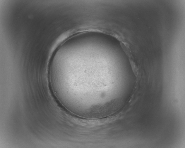 X0000061740006200512161702