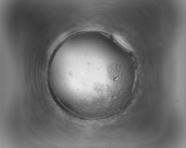 X0000061740007200512161702